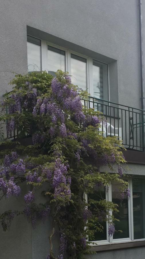 Willa Przy Plaży Gdynia Kamienna Góra Exterior foto